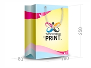 заказать печать Бумажный пакет тираж 200 штук вертикальный А5 формата , размер 200x260x80 мм, бумага 200 г/м² + с ламинацией, установка люверсов и ручки-шнурка